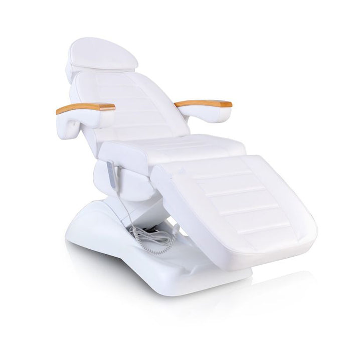Facial Beauty Chair & Wooden Armrests w/ 3 Motors