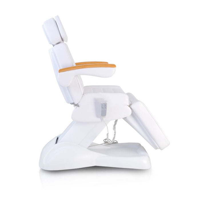 Facial Beauty Chair & Wooden Armrests w/ 3 Motors