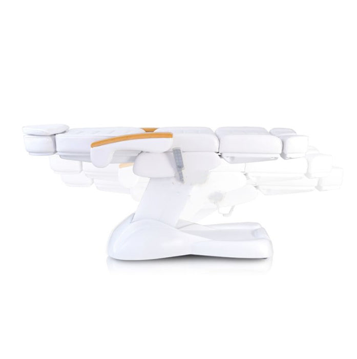 Beauty Facial Bed w/5 Motors