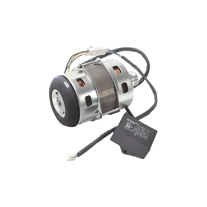 9620 Massage AC Motor