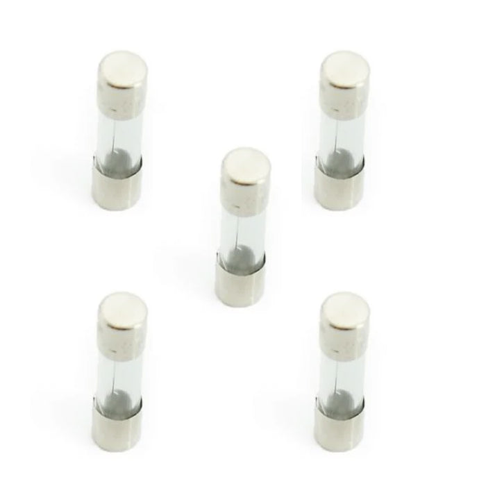 Fuse for Cleo Pedicure Chair (5pcs)
