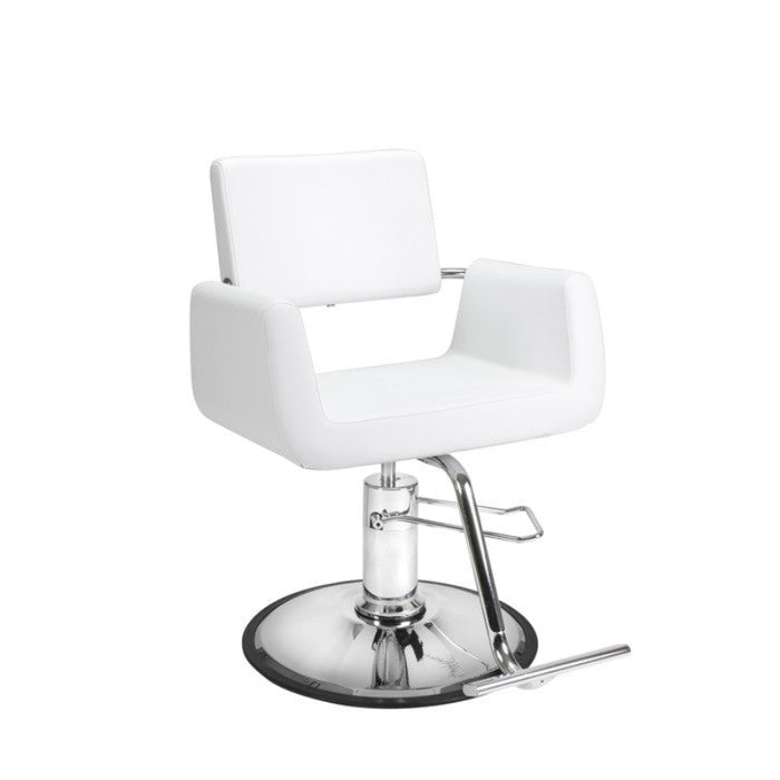 Aron Modern Styling Chair