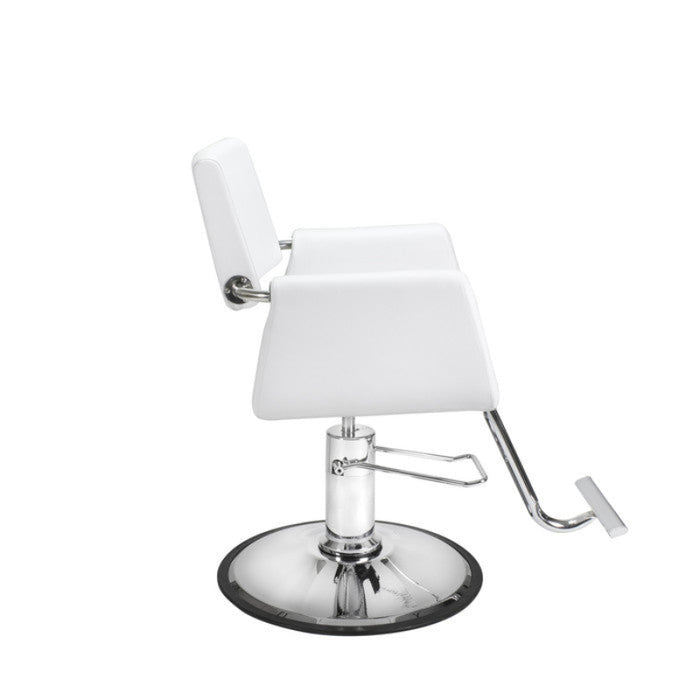 Aron Modern Styling Chair